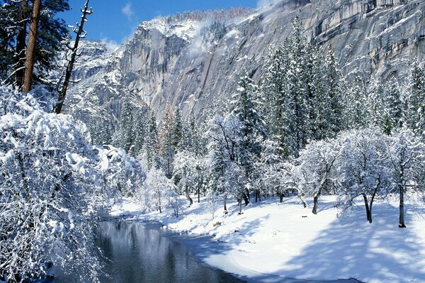 Winter day in a beautiful mountain park