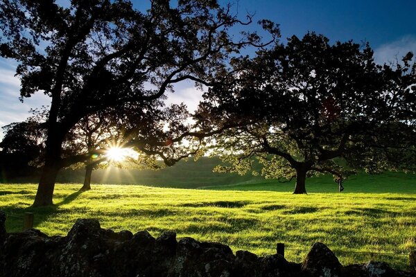 Amanecer En nueva Zelanda