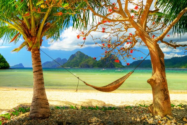 Beach and ocean nearby hammock for relaxation