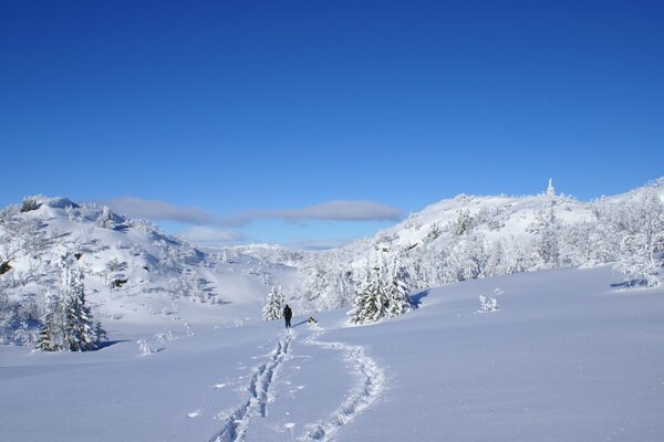 Winter verschneite kalte Landschaft