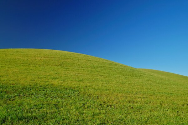 Grüner grasbewachsener Hügel, schöner Himmel