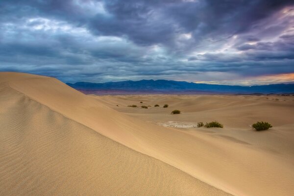 Paesaggio del deserto grandangolare con le nuvole