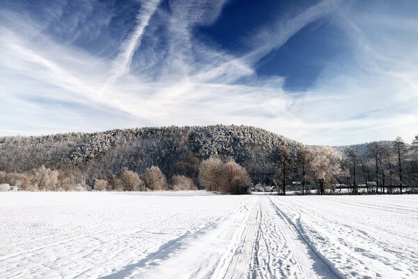 Camino de invierno al bosque soleado