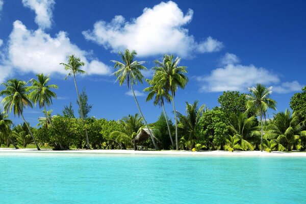 Île tropicale romantique avec palmiers et sable