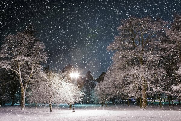 Яркий фонарь в зимнем парке