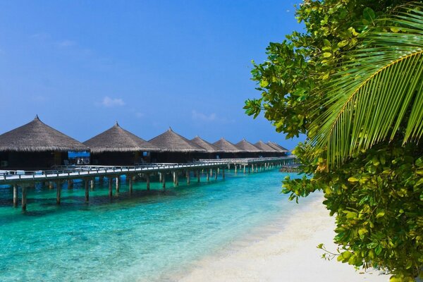 Casas sobre pilotes en una playa tropical