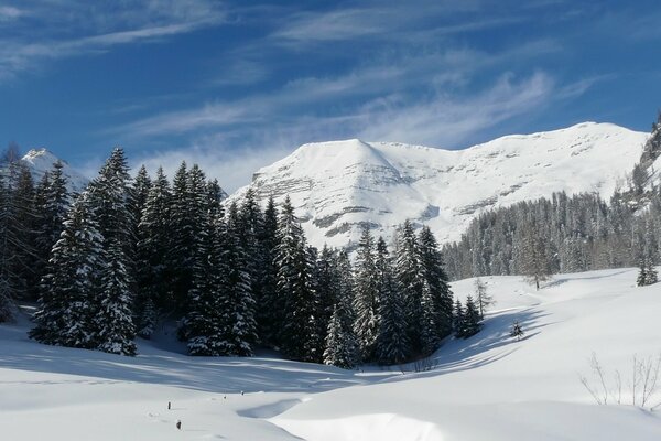 Snowy mountains and forest in winter are something beautiful