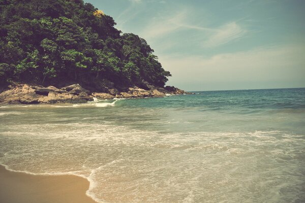 El ruido de las olas, el sol de verano y el calor