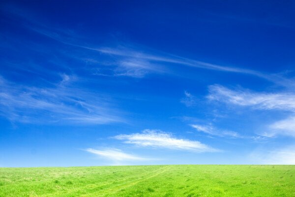 Paysage avec l image du ciel et de l herbe