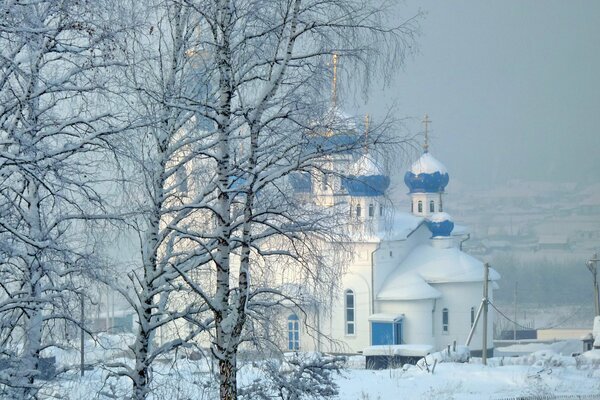 Winter Natur im Hintergrund der Kirche