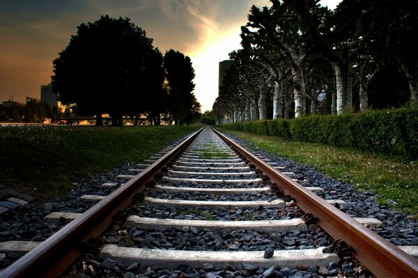 Railway near the forest alley