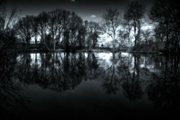 Paisaje nocturno agua y árboles