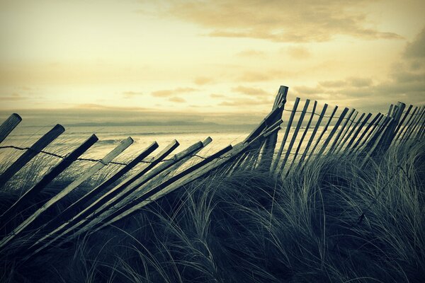 Fencing on the seashore