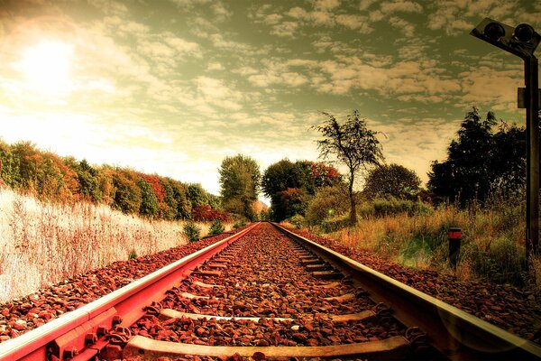 Autumn landscape. Rails extending into the distance