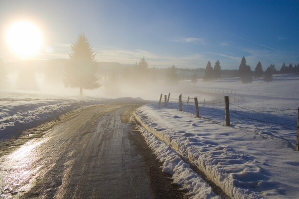 Route d hiver dans la forêt enneigée