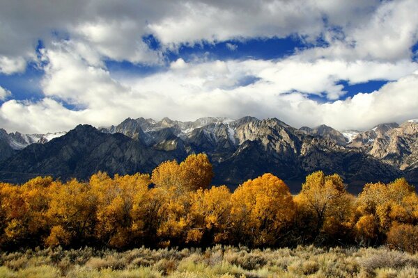 Golden autumn. Trees and mountains