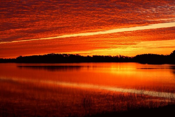 Como una sangrienta puesta de sol en un lago