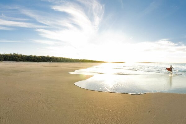 Blauer Himmel und goldener Strand