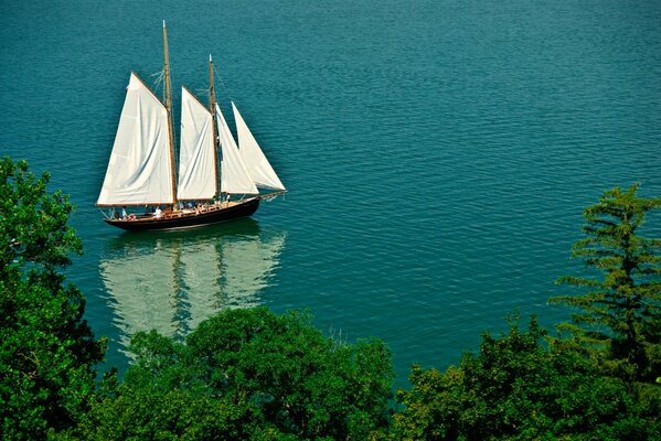 Velero en el mar. Árboles en la orilla