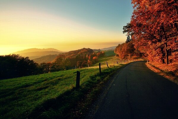 Landscape of autumn nature at sunrise