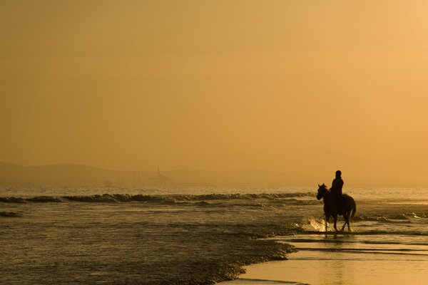 Belle image de cheval et cavalier au coucher du soleil