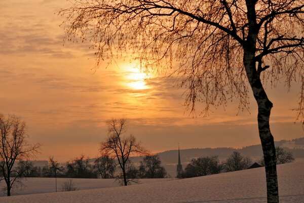 Winterlandschaft. Natur bei Sonnenuntergang