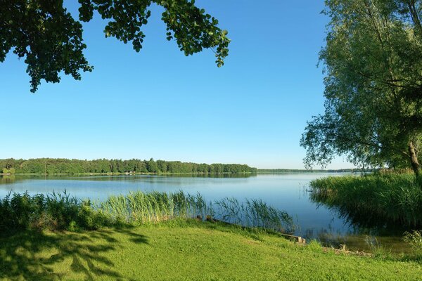 Schöne Natur, ein Fluss im Schilf