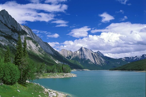 Paesaggio del lago circondato da montagne e alberi