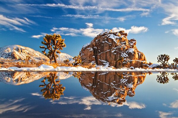 Reflejo en el río de árboles y piedras