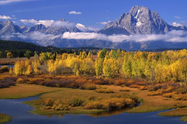 Bosque de otoño en el fondo de las montañas y el río