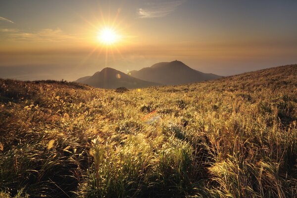 Sunset on the background of mountains and green grass