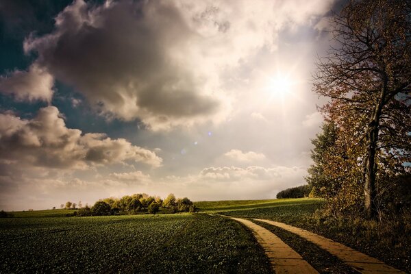 Grandes nubes sobre el camino en la hierba verde y los árboles