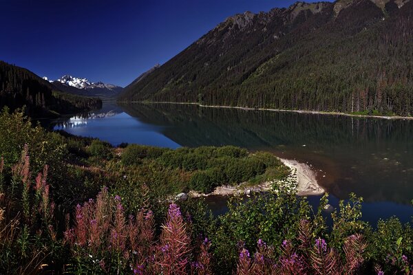 Autumn landscape of the river in the mountains