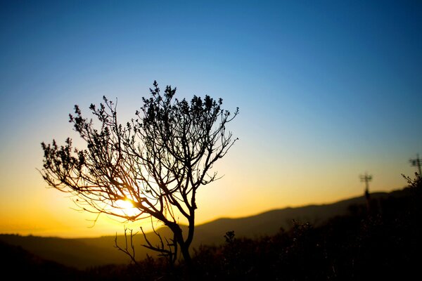 Sunset in the desert