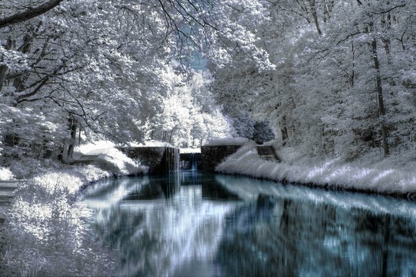 Paisaje de árboles en la nieve y el río