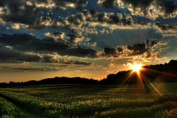 Belle nature et coucher de soleil de nuit