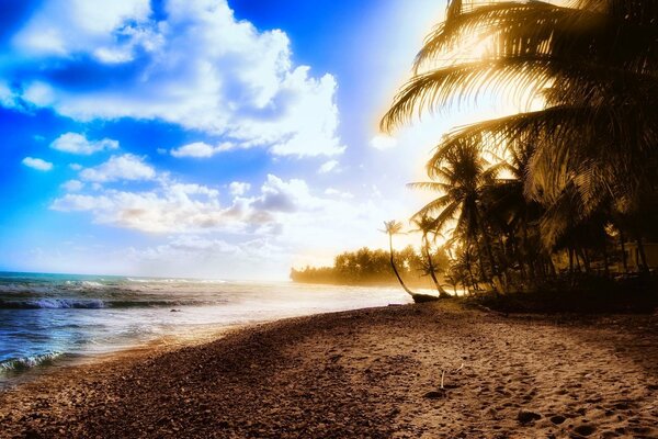 Plage douce baignée de soleil