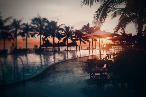 Foto de la piscina con palmeras en el fondo de la puesta de sol