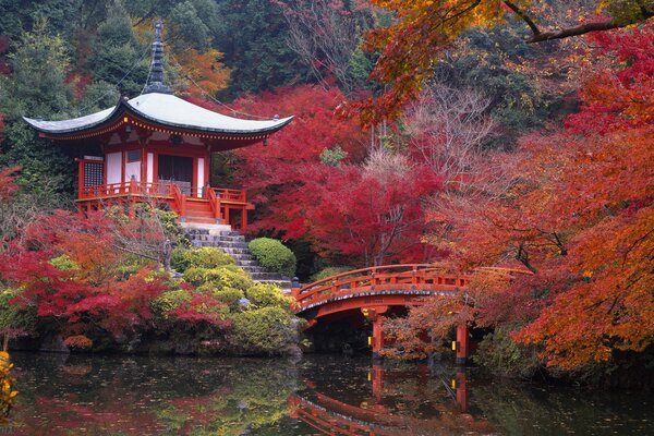 Bellezza giapponese della natura e dell architettura