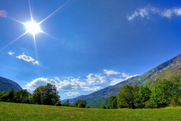 Cielo azul y Campos verdes con bosque