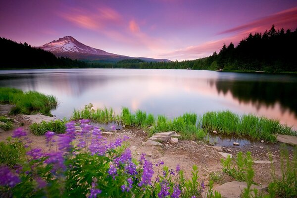 Beautiful landscape in the mountains at sunset