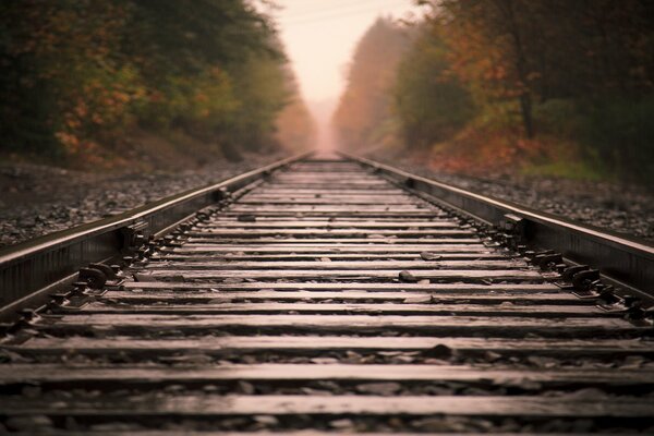 Railway track on a foggy morning