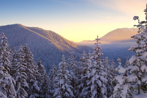 Snow-capped mountains. Beautiful nature in winter