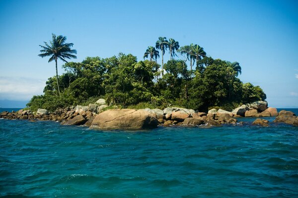 Остров с пальмами в синем океане