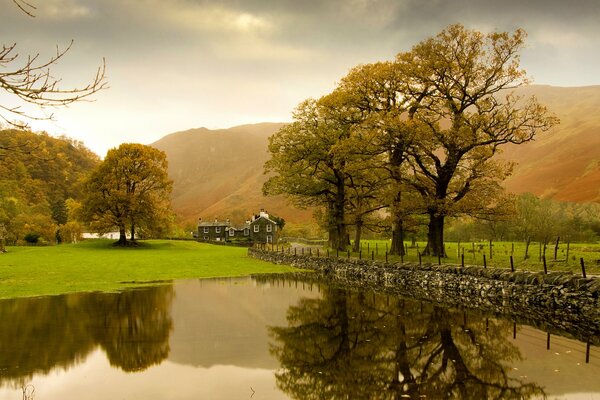 Autumn golden morning on the lake