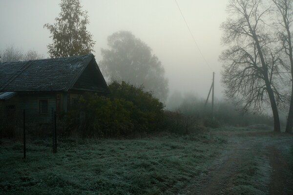 Paisaje rústico en la niebla