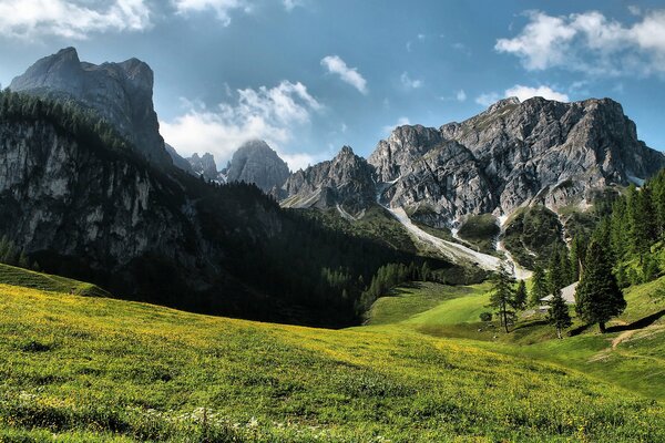 Grüne Wiese vor dem Hintergrund der Berge