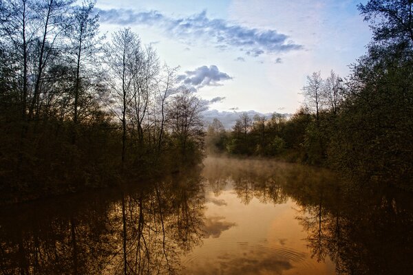 Ein Fluss in der Mitte des Waldes mit einem abendlichen nebeligen Dunst und einer Reflexion von Bäumen