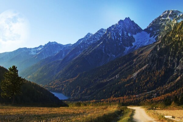 Paesaggio mattutino in estate in montagna