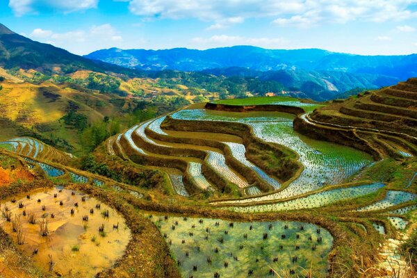 Rizières dans les montagnes de Chine